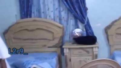 النمر المقنع