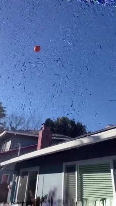 Creative moshup illusion