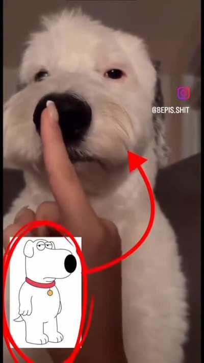 Fndosoruebb rjakak d oej