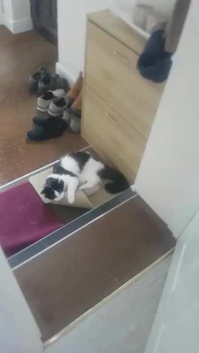 I think they're taking form in our carpet squares