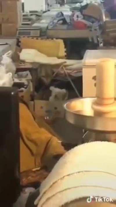 Me when Shit Luck plays