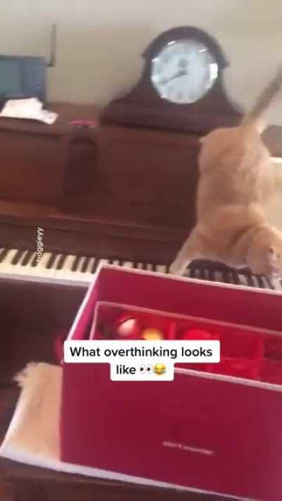 This looks as stressful as it sounds