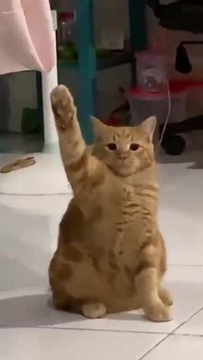 Extremely Antisemitic Wunk