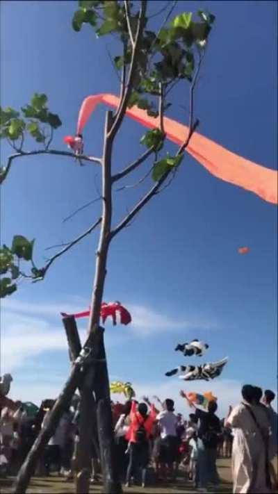 Kid being brought up into sky by a kite today in Taiwan
