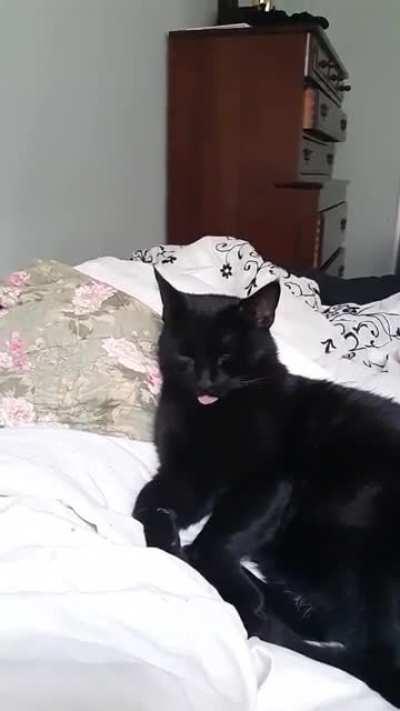 Do your voids ever do this in their sleep?