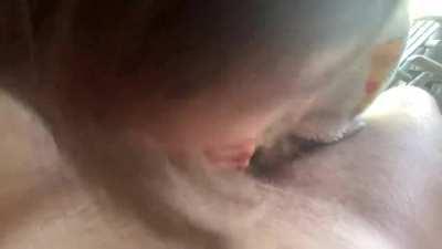 Almost got caught by the neighbors