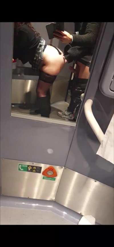 Blanche rebeued dans les toilettes d'un train