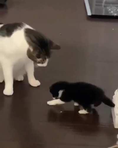 Passing down the tradition