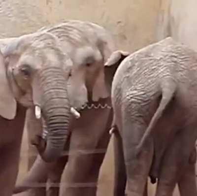 los amods chekando nuestros memes