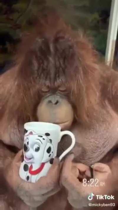 Muy guapa la nueva sección de Cafe con Orson