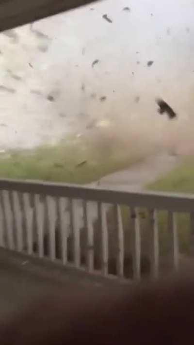 🔥 Inside the Ellabell Tornado 🔥