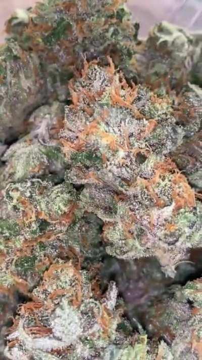 Ghost Rider OG 100% Organically Grown 💚