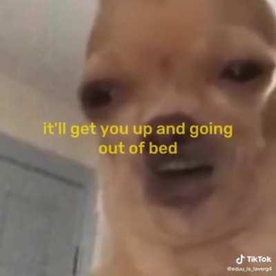 Dont stay awake for too long dont go to bed i maked you cup of coffe for your head ill get you up and going out of bed