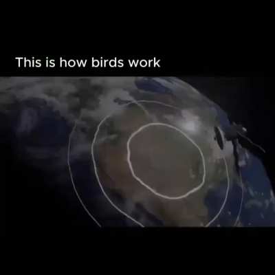 Wunk is going on an adventure!