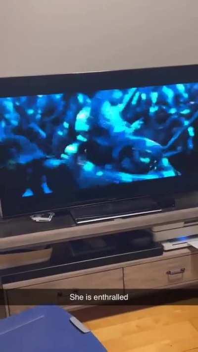 She’s enthralled with Legolas shield surfing and killing orcs 