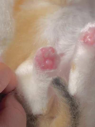 Look at those tiny glowing toe beans! I’m obsessed.