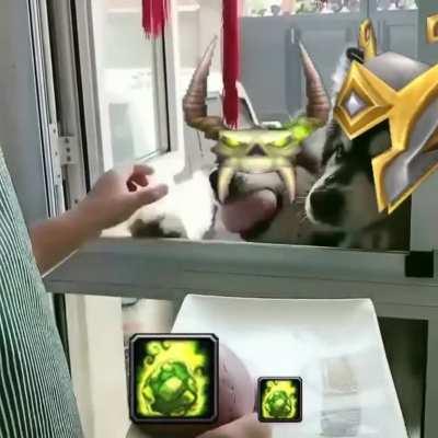 Anyone want cookies?