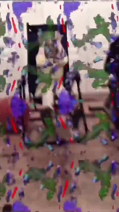 Thank you for watching