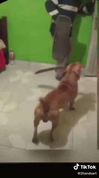 pERrO M.D.L.R 😈🔥😈🔥😈🔥😈🔥