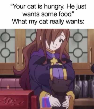 Me and my cat share a common interest it seems :/