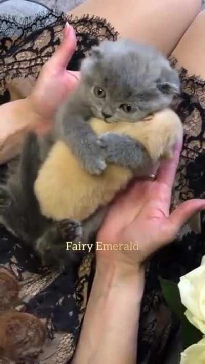 To cute not to share.