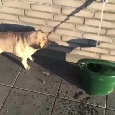 I wouldn't be able to not help