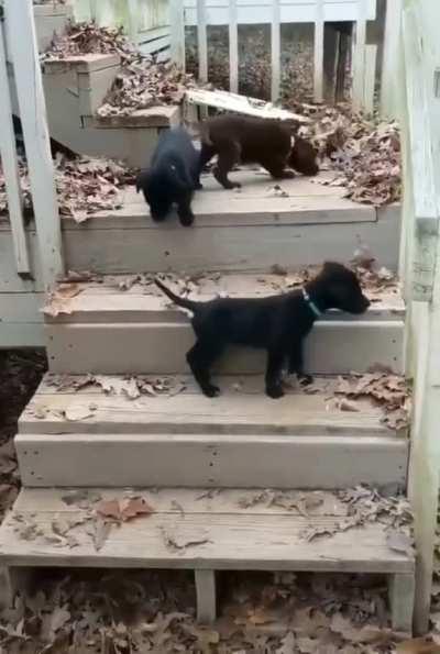 Don't worry bro, just look at how we do it!