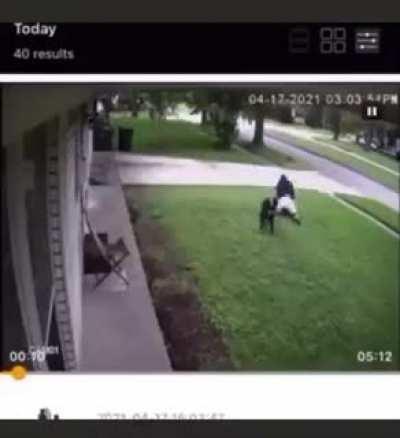 Guy puts the beats on dog for attacking his dog😂😂😂this is wilddd yo