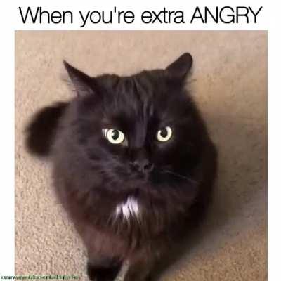 She even knew it was coming.