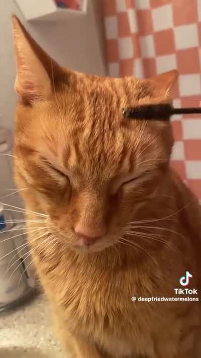 TikTok my sister sent me 💀