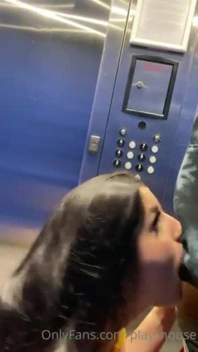 Safe to say they HEADing to the TOP floor !! …..get it ? “Head” “top” lol I could’ve been a comedian