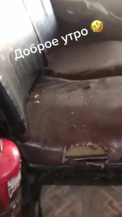 Микки Маусы