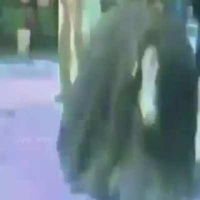 mixed moldy meme soup