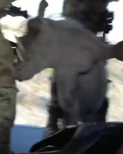 Sar'nt, what's the meaning of this? Just a little aerial target practice, sir. Didn't want to leave 'em behind.