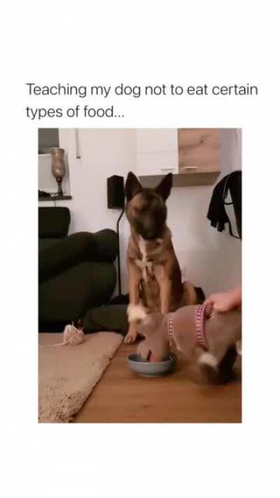 Doggo Dies Inside