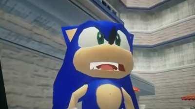 Sonic was warning the person that their system was gonna crash