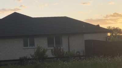 Cats on a hot tin roof