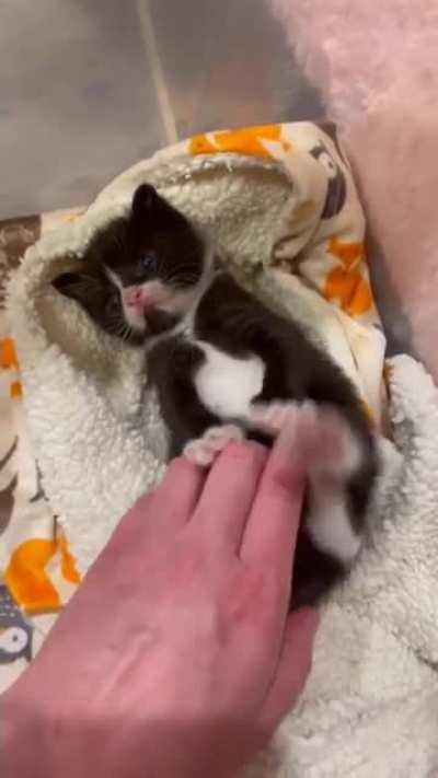 Officer help! The suspect is resisting arrest!