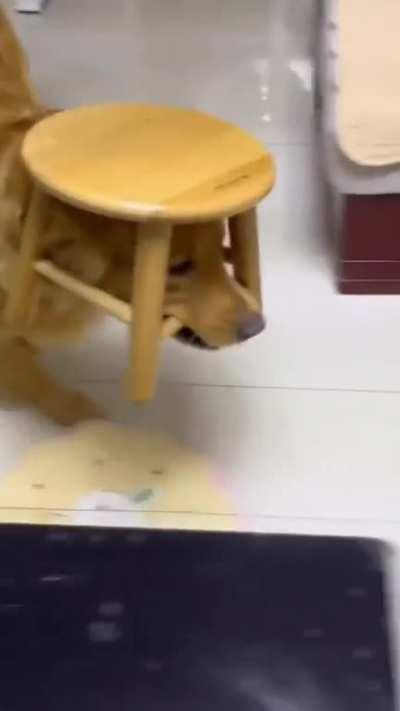 It's a stick ... and a hat