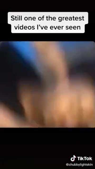 Carti out here saving lives 😂