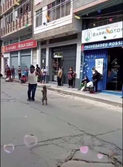 From Perú with love.