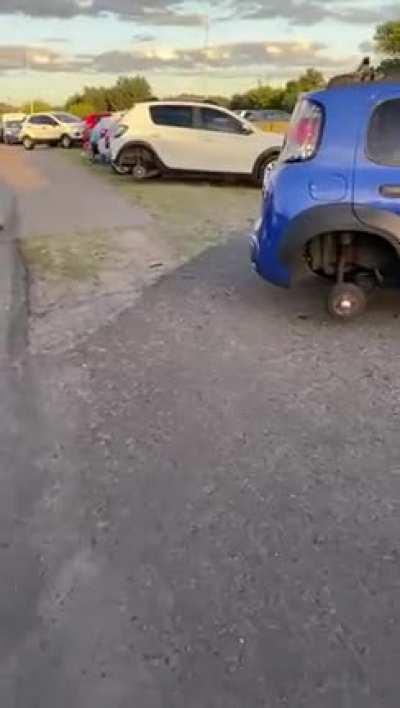 Anda a festeja, bobo