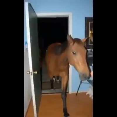 I'm 15 and this is yeet