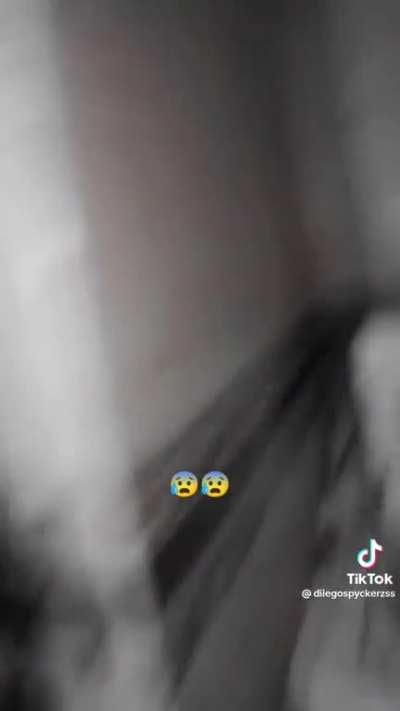 I wasn't expecting that 💀