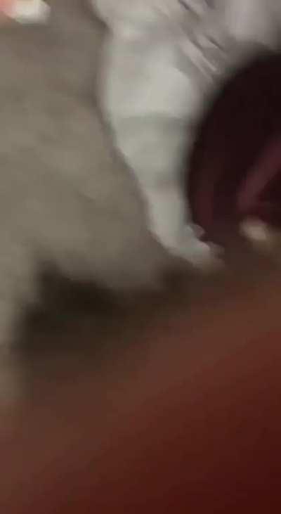 nikkimiichelle - Video #7063