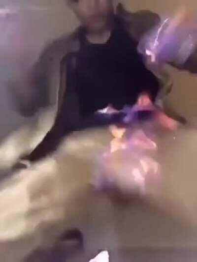 What was his intention?