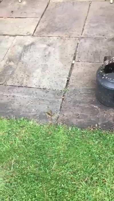 It’s fine, I didn’t want to water the plants anyway...