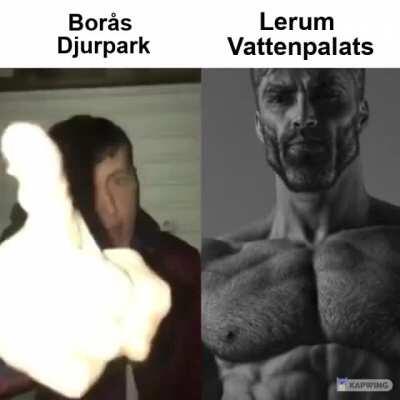 Enkelt val