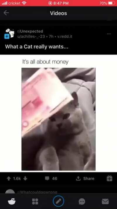 Dalla dalla bills yaal