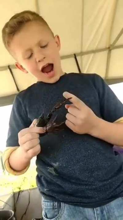 don't bother any animal ..